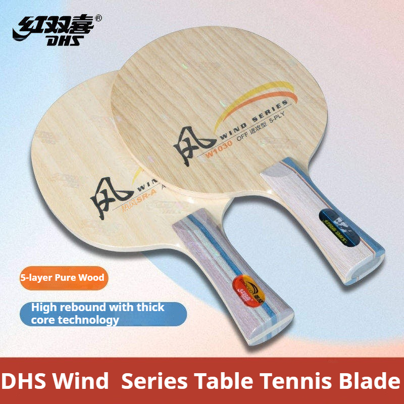 DHS WIND SERIES Table Tennis B - Table Tennis Paddles ulasan dan harga