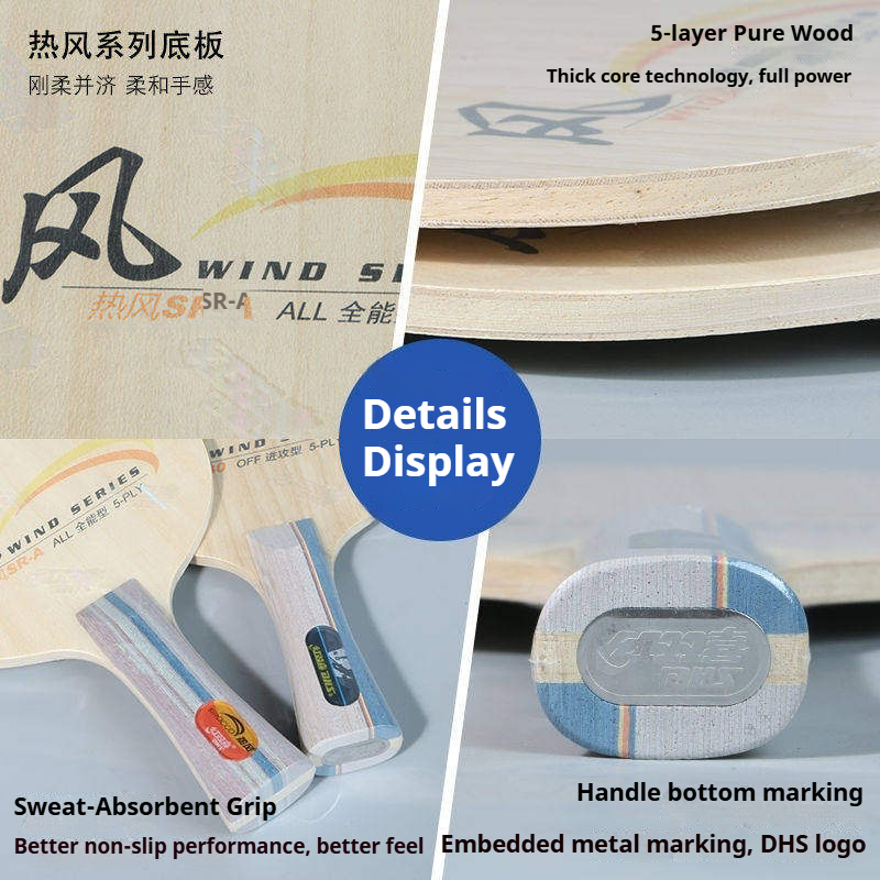 DHS WIND SERIES Table Tennis B - Table Tennis Paddles ulasan dan harga
