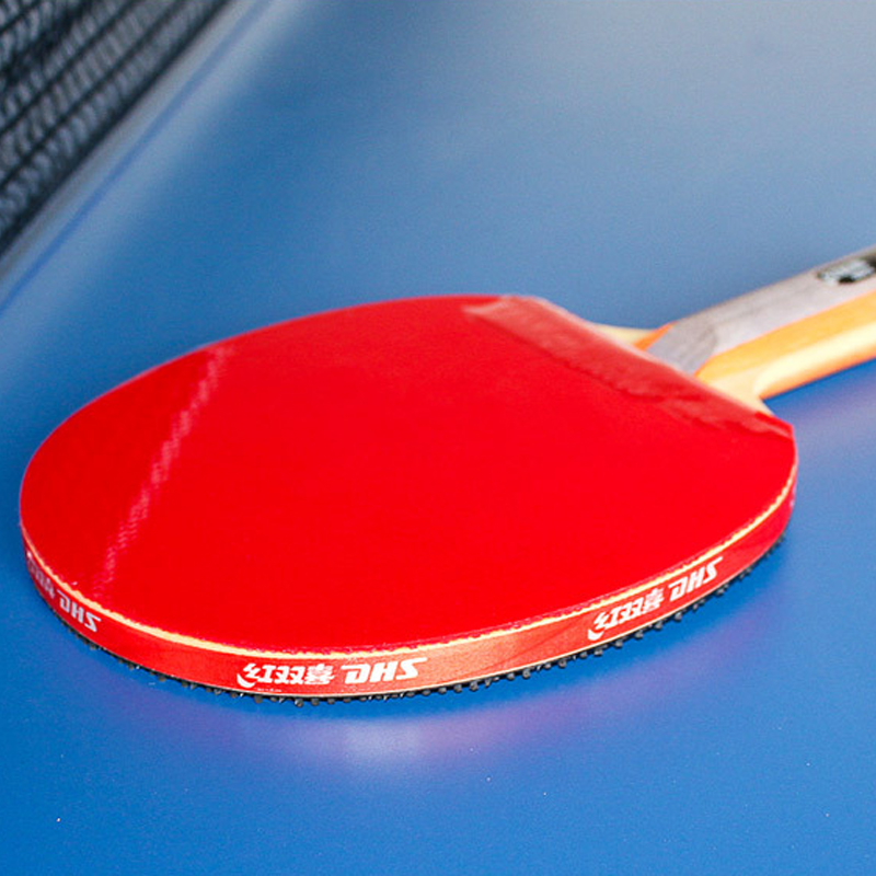 DHS Raket Tenis Meja Berpereka - Table Tennis Joola ulasan dan harga