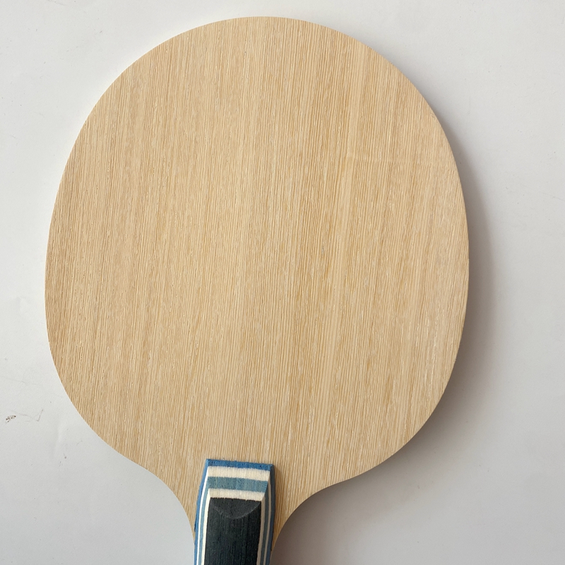 Raket Tenis Meja Lemuria VIS S - Table Tennis Gun ulasan dan harga