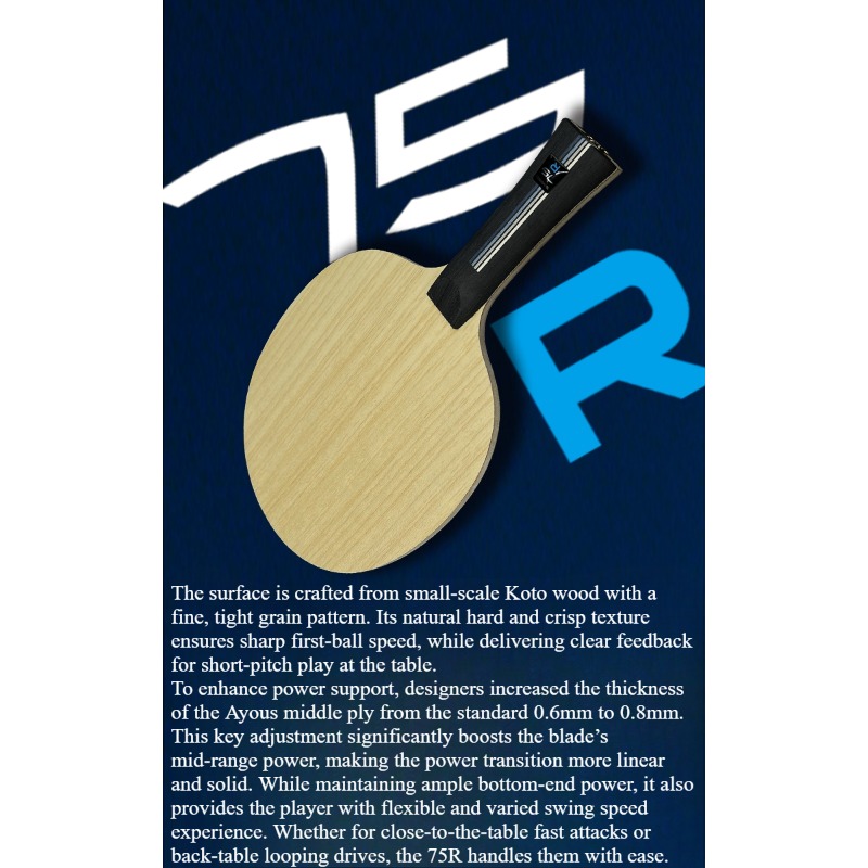 SANWEI 75R 5+2 Outer H-GLC Bla - Table Tennis Paddles ulasan dan harga
